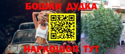 ешки Обь
