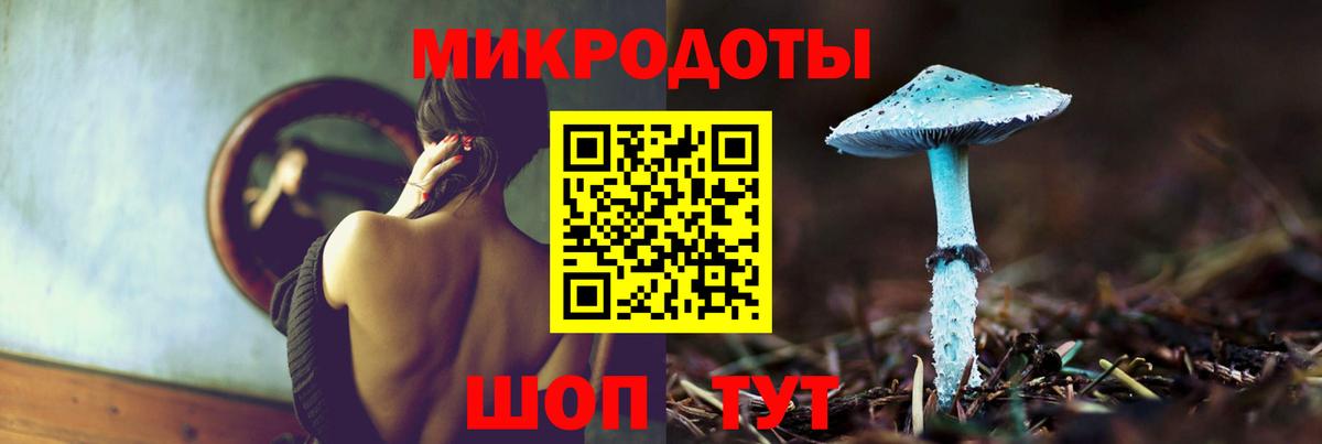 Псилоцибиновые грибы Psilocybine cubensis Сыктывкар